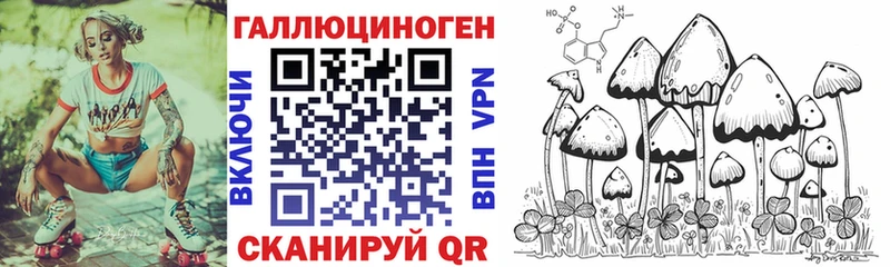 Псилоцибиновые грибы Psilocybine cubensis  Холмск 