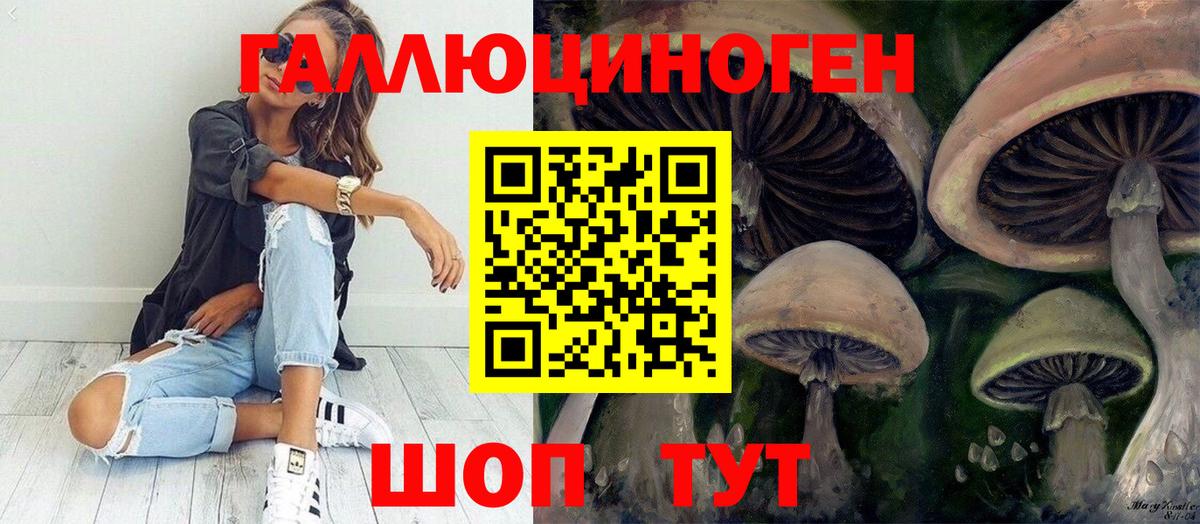 Галлюциногенные грибы Psilocybe  Вход с VPN  Холмск 